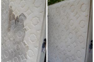 WhatsApp Image 2024-06-14 at 09.49.35 WhatsApp Image 2024-06-14 at 09.49.35