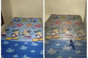 WhatsApp Image 2024-06-14 at 09.49.40 WhatsApp Image 2024-06-14 at 09.49.40