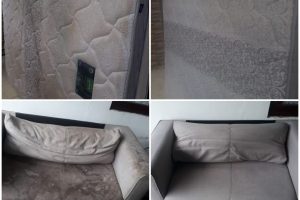 WhatsApp Image 2024-06-14 at 09.49.41 WhatsApp Image 2024-06-14 at 09.49.41