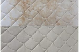 WhatsApp Image 2024-06-14 at 09.49.51 WhatsApp Image 2024-06-14 at 09.49.51