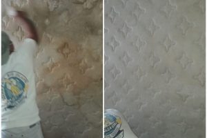 WhatsApp Image 2024-06-14 at 09.49.54 (1) WhatsApp Image 2024-06-14 at 09.49.54 (1)