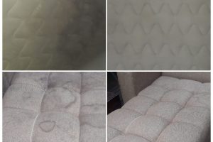 WhatsApp Image 2024-06-14 at 09.49.56 WhatsApp Image 2024-06-14 at 09.49.56