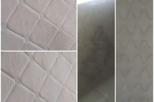 WhatsApp Image 2024-06-14 at 09.49.58