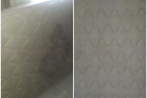 WhatsApp Image 2024-06-14 at 09.50.01